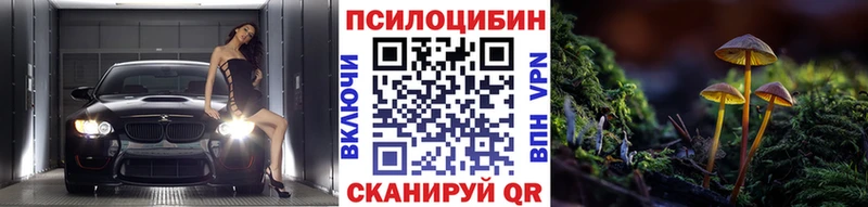 Галлюциногенные грибы мицелий Борзя