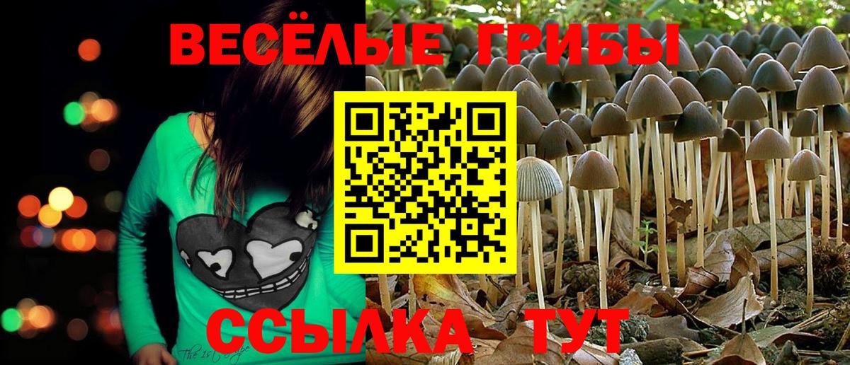 Псилоцибиновые грибы мухоморы  Псилоцибиновые грибы ЛСД  Вход с VPN  Борзя 