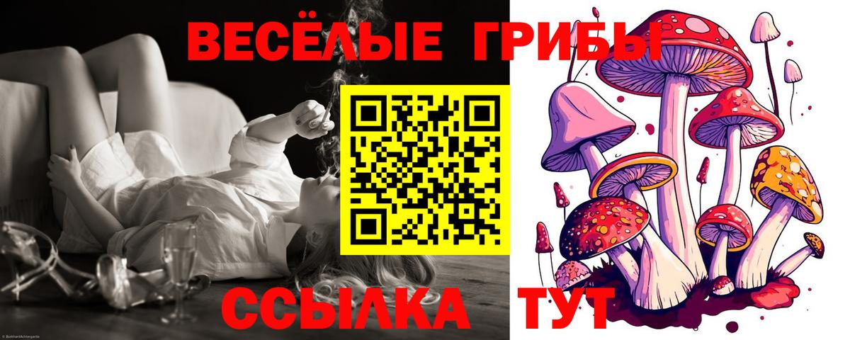 Галлюциногенные грибы мухоморы Борзя