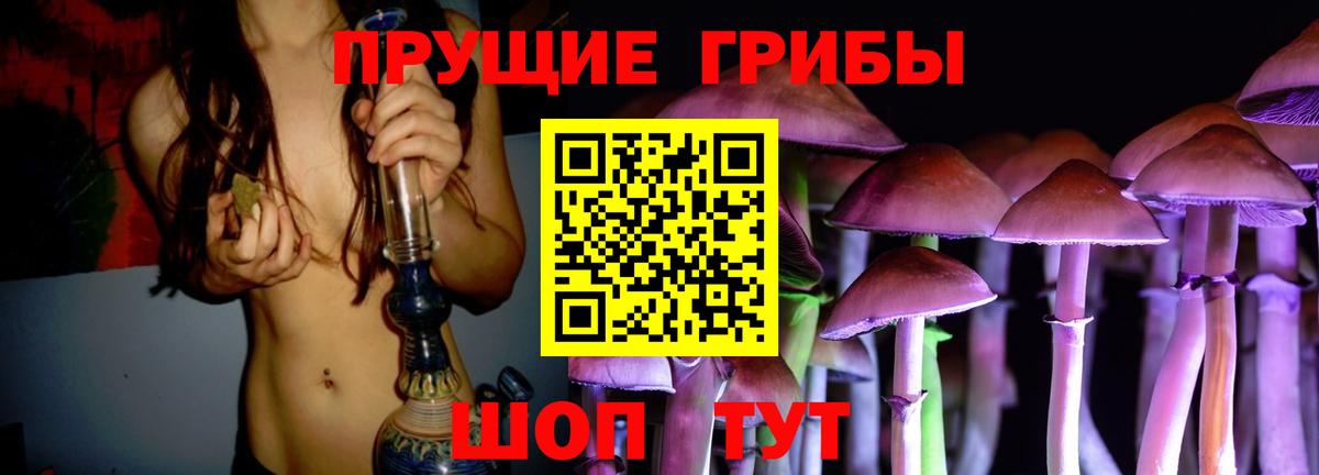 Галлюциногенные грибы прущие грибы  Борзя  Галлюциногенные грибы Psilocybe 